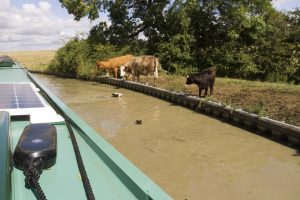 Other users of the Oxford Canal