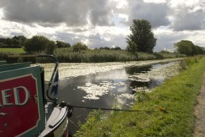 Narrow Broad Canal